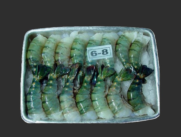 King Prawn (U 6/8) – Block
