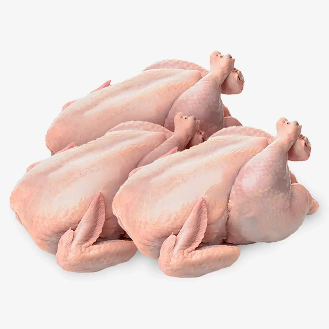 Frozen Tandoori Whole Chicken – 1200g (10pcs Box)