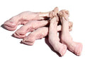 Lamb Feet – Each Piece