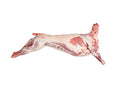 Whole Lamb ~ 18kg